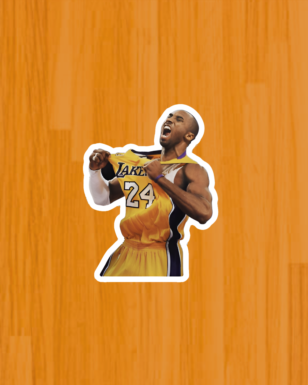 Stickers NBA I