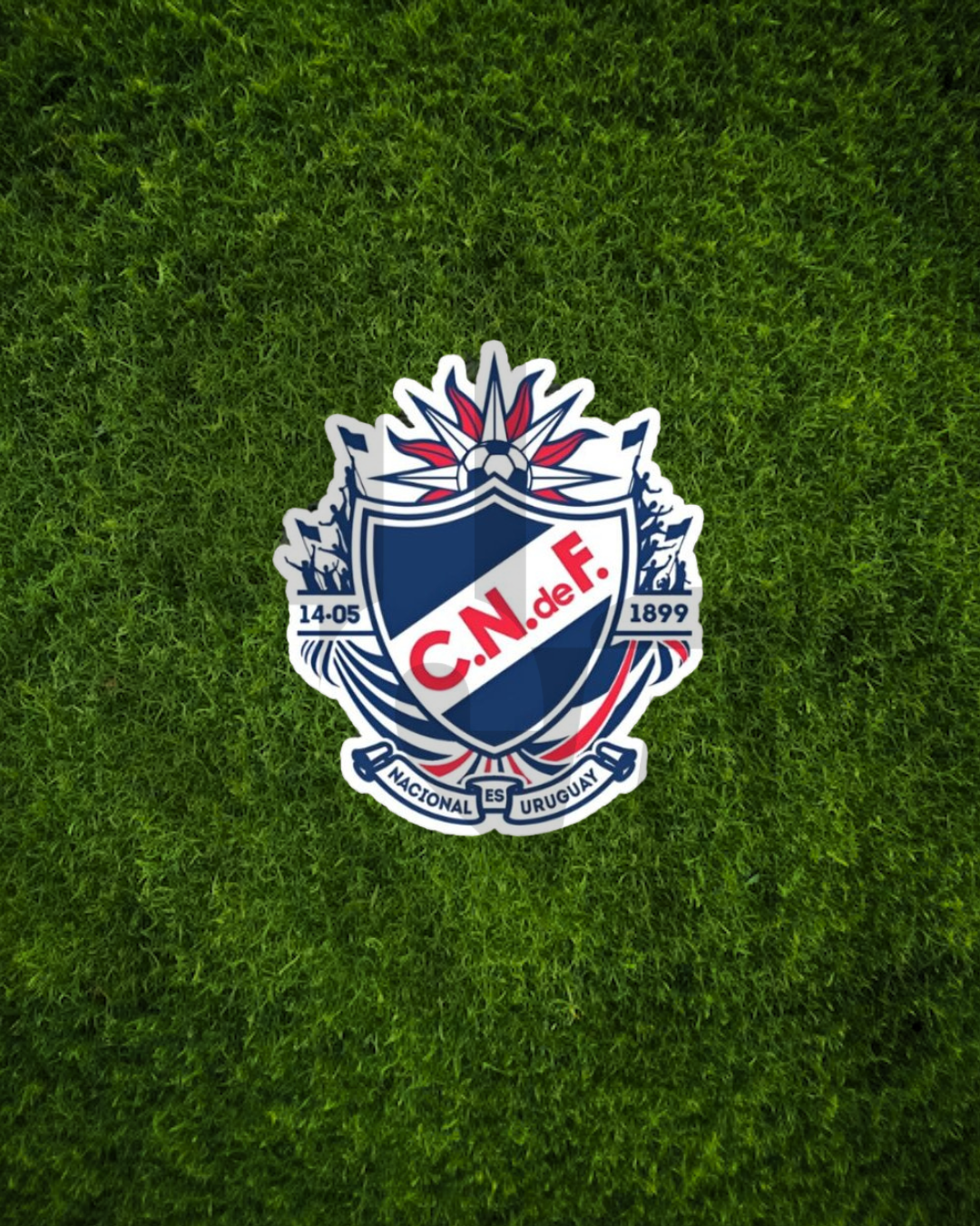 Stickers CNDEF II
