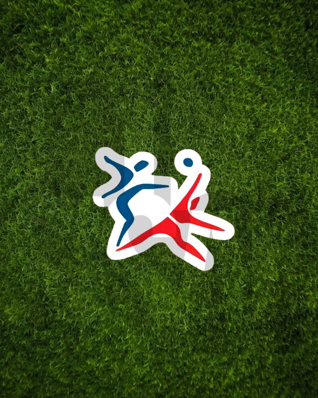 Stickers CNDEF II