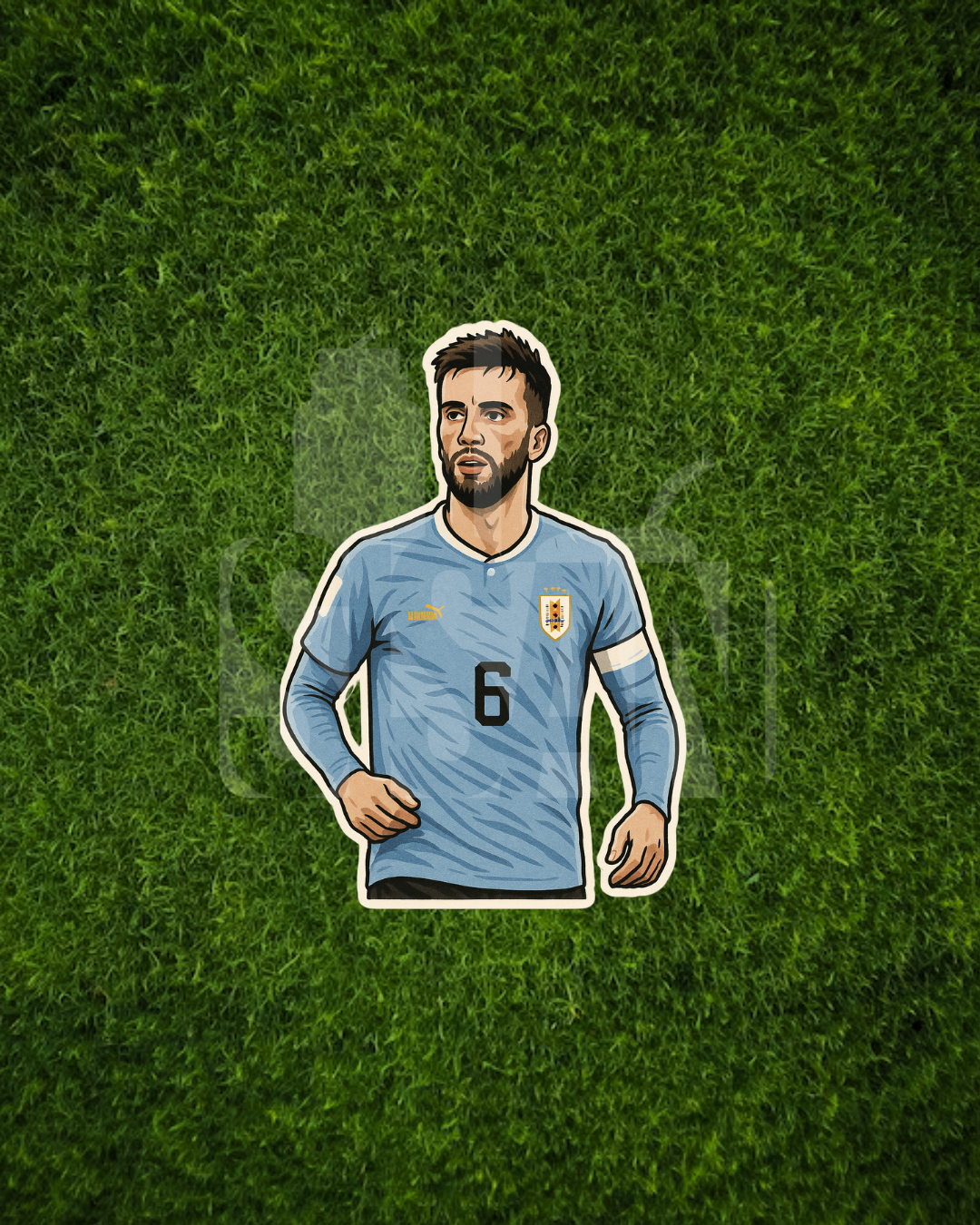 Stickers Selección