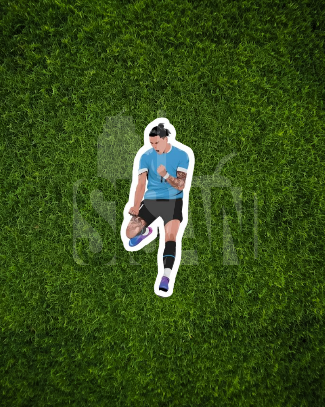 Stickers Selección