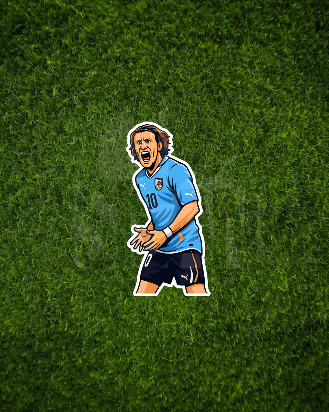 Stickers Selección II