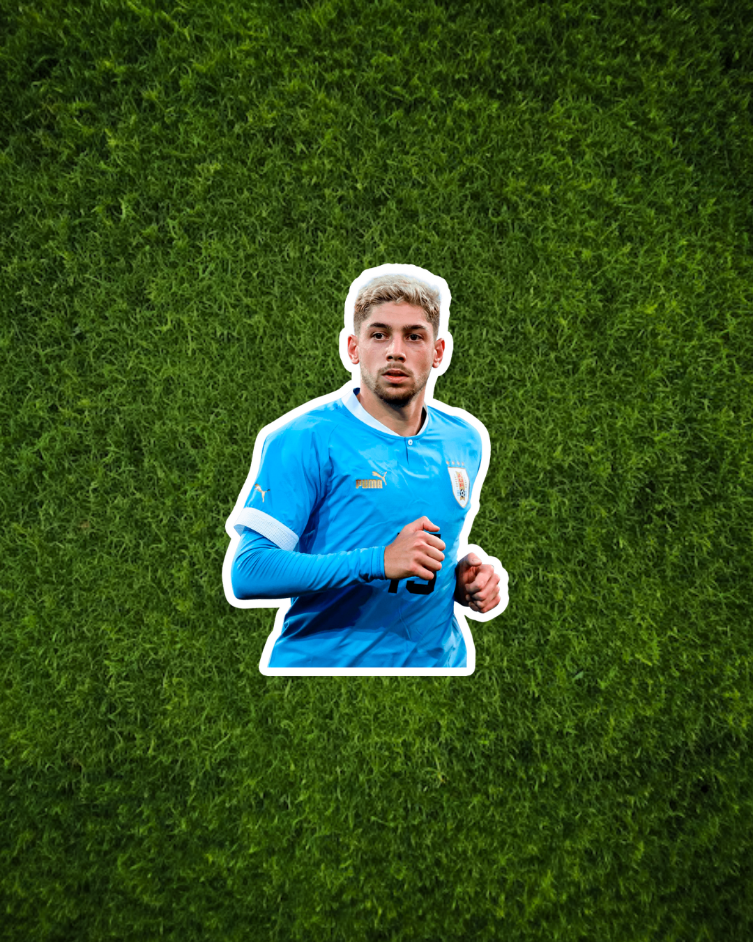 Stickers Selección II