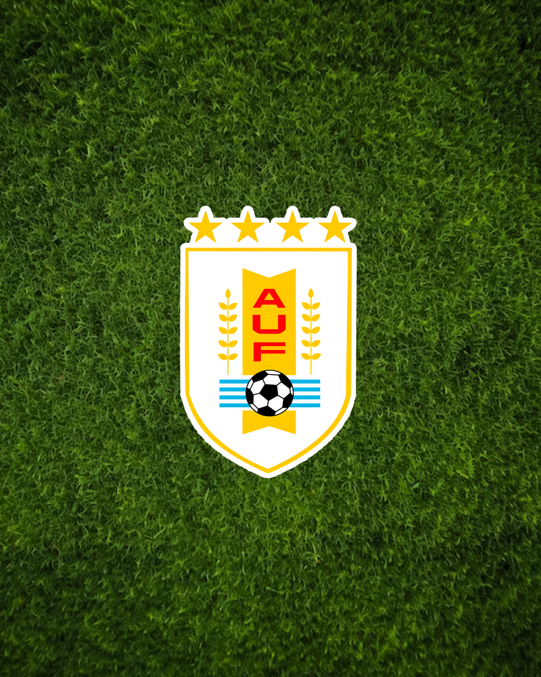 Stickers Selección