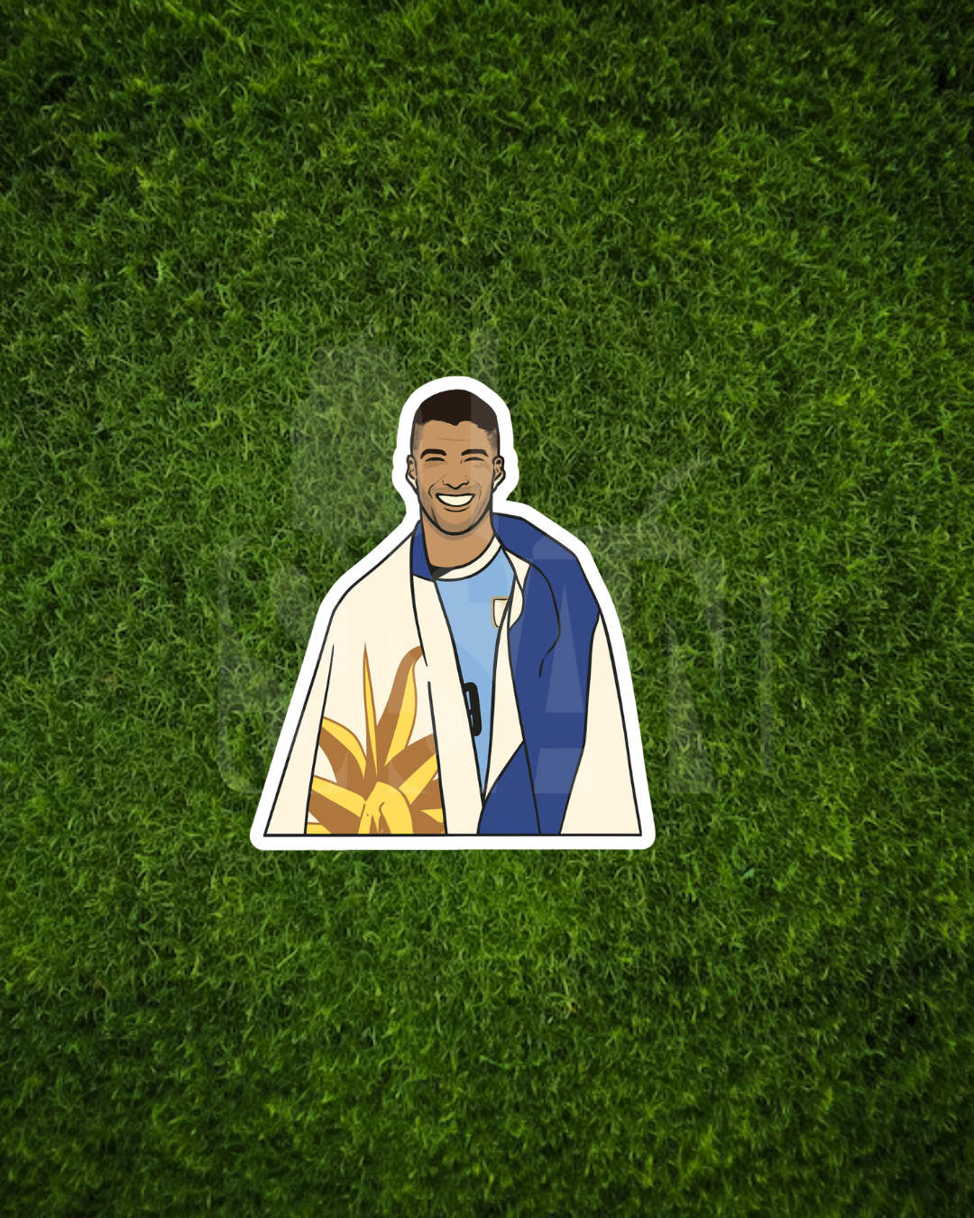 Stickers Selección