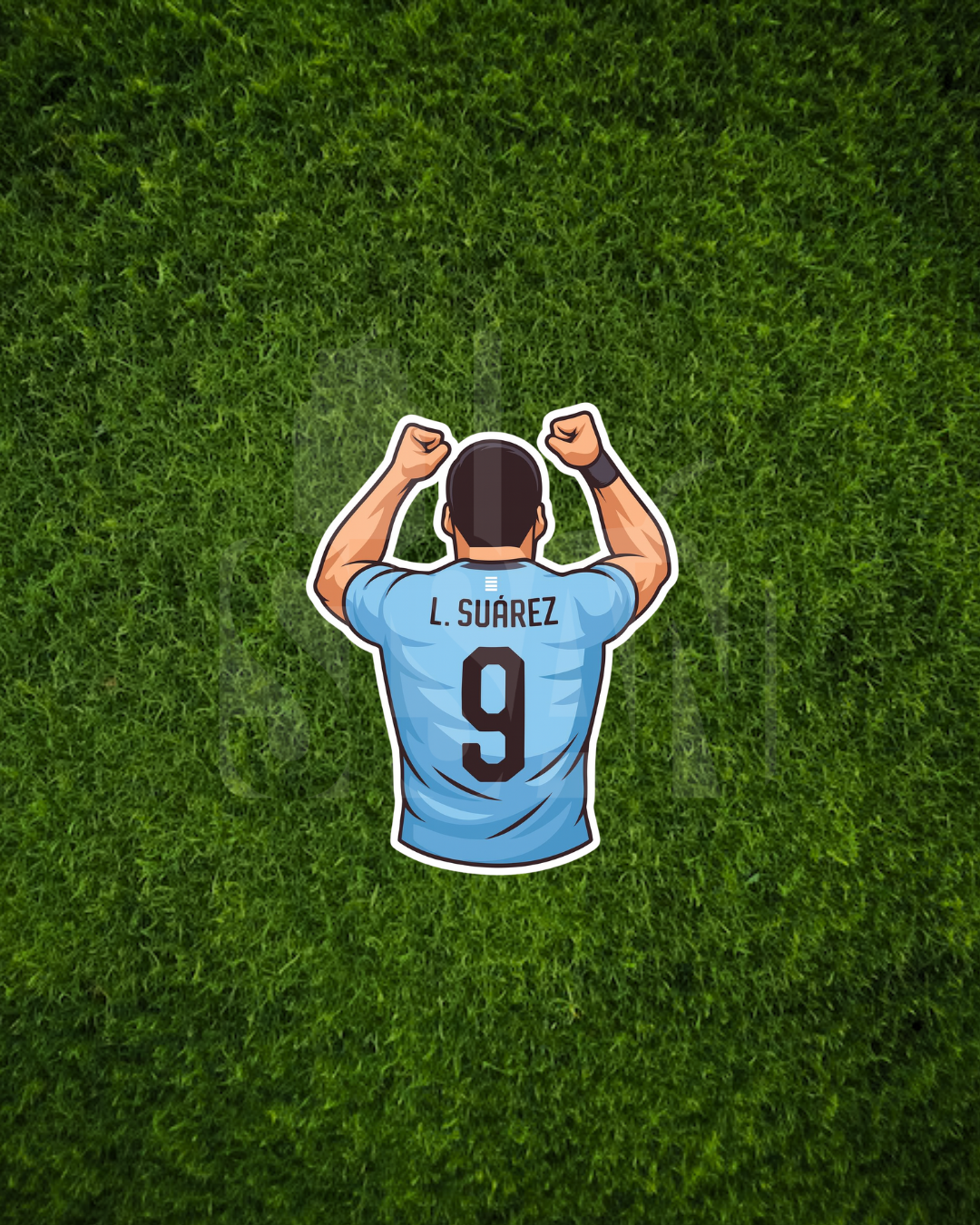 Stickers Selección