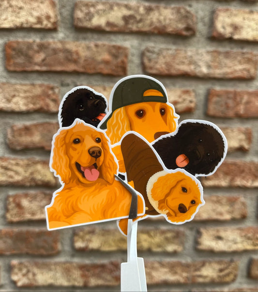 Pack 5 stickers ilustrados / personalizados