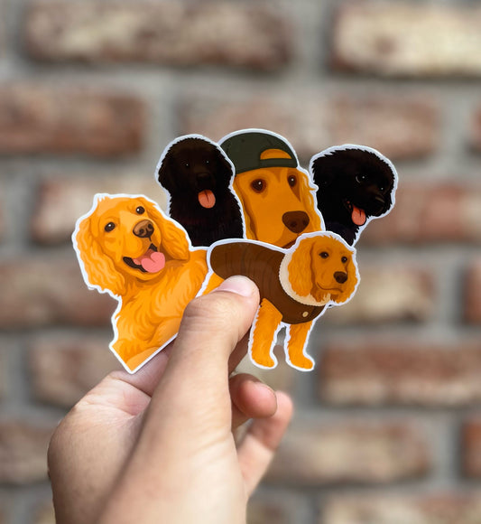 Pack 5 stickers ilustrados / personalizados